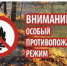 С 01 апреля 2025 года на территории Нижегородской области установлен особый противопожарный режим - Городской округ Семеновский