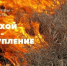 Весенний пал травы: почему это опасно и как предотвратить пожар - Городской округ Семеновский