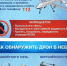 Алгоритм действий в случае обнаружения беспилотных летательных аппаратов, в том числе в лесах и других территориях - Городской округ Семеновский